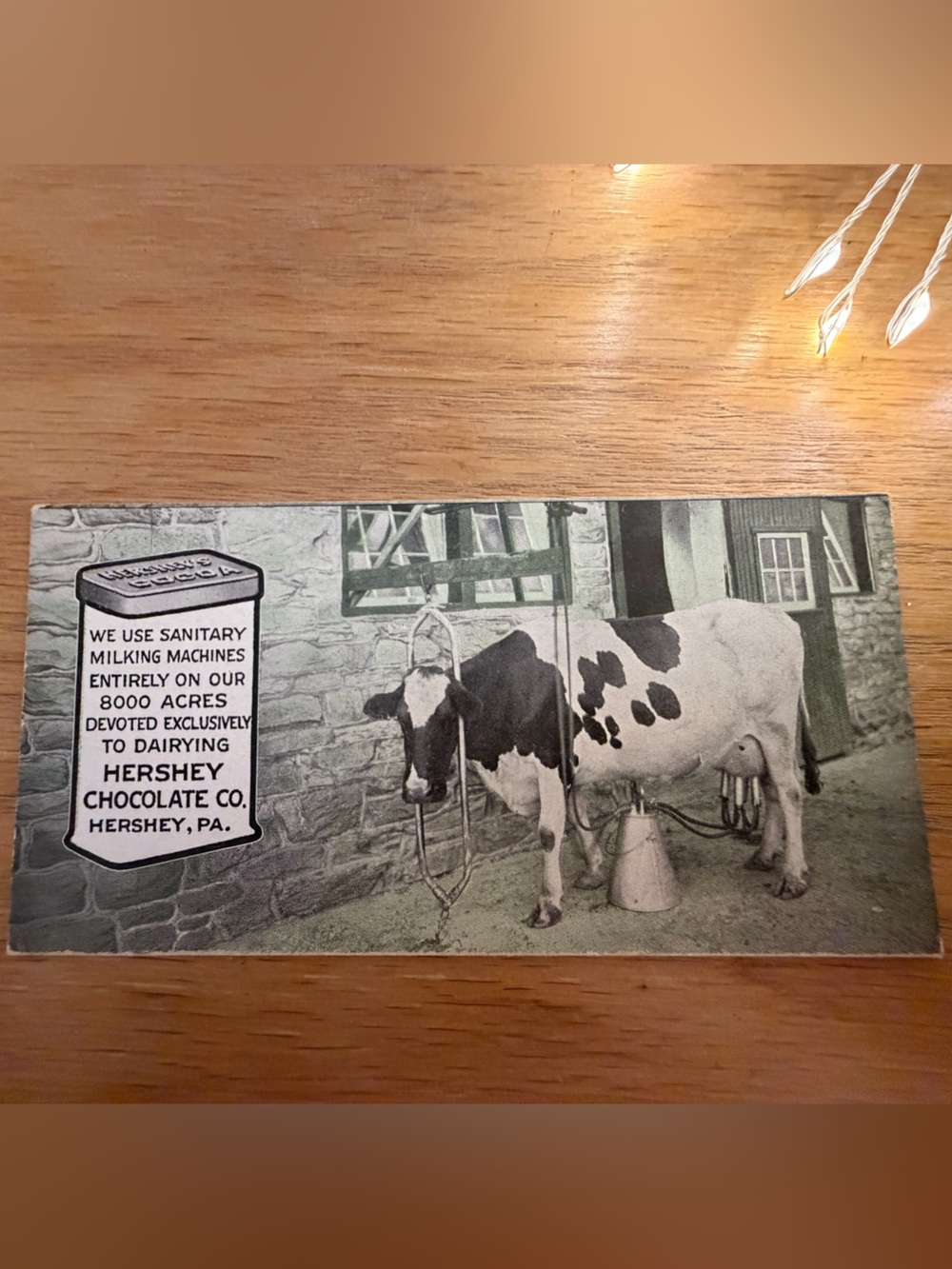 Vintage Hershey Chocolate Co Advertising Postcard c. 1910 Ephemera